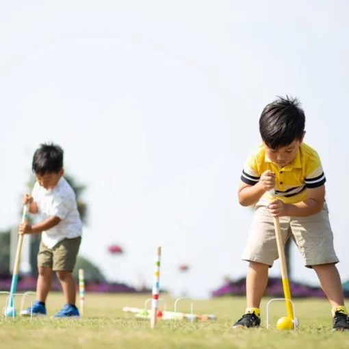 Garden Croquet