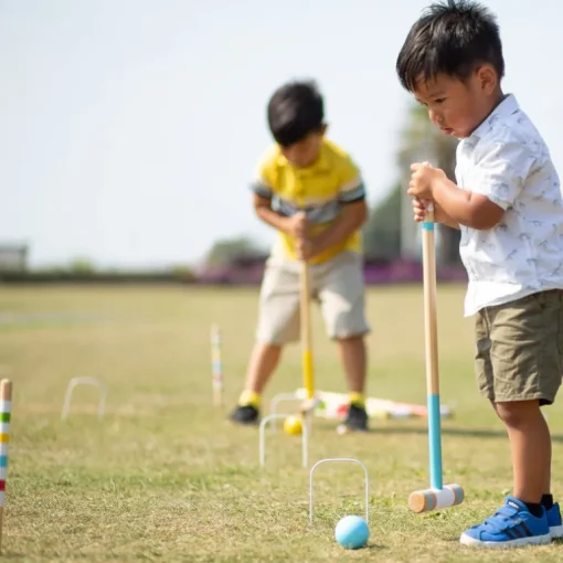 Garden Croquet