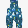 Organic Arctic Print Dungarees