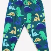 Organic Tonal Dinosaur Print Joggers