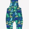 Organic Tonal Dinosaur Print Dungarees