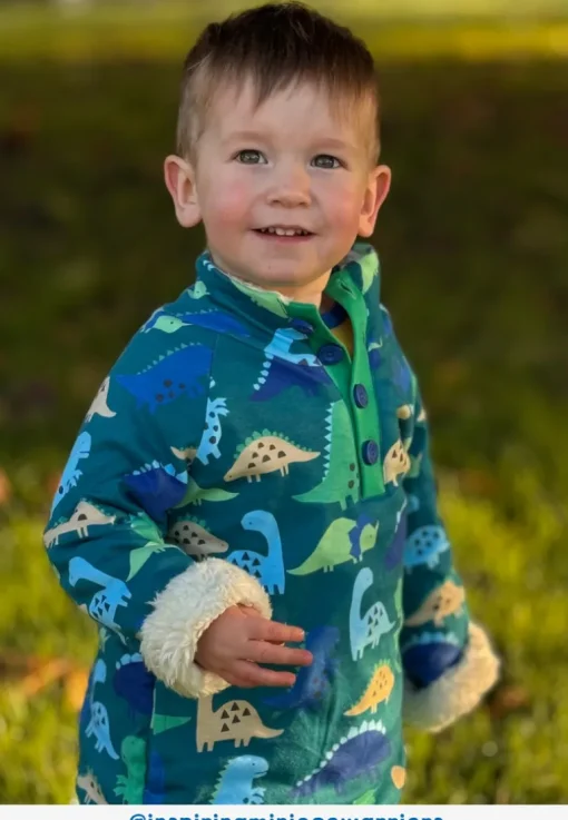 Organic Tonal Dinosaur Print Fleece Sweatshirt