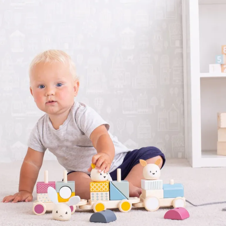 Activity Pull Along Train - FSC 100%