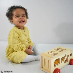 Animal Shape Lorry - Wooden Toy