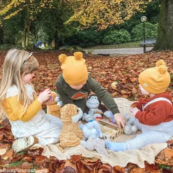 Biscuit Box - Wooden Toy