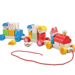 Build Up Pull Along Train