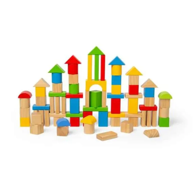 First Building Bricks