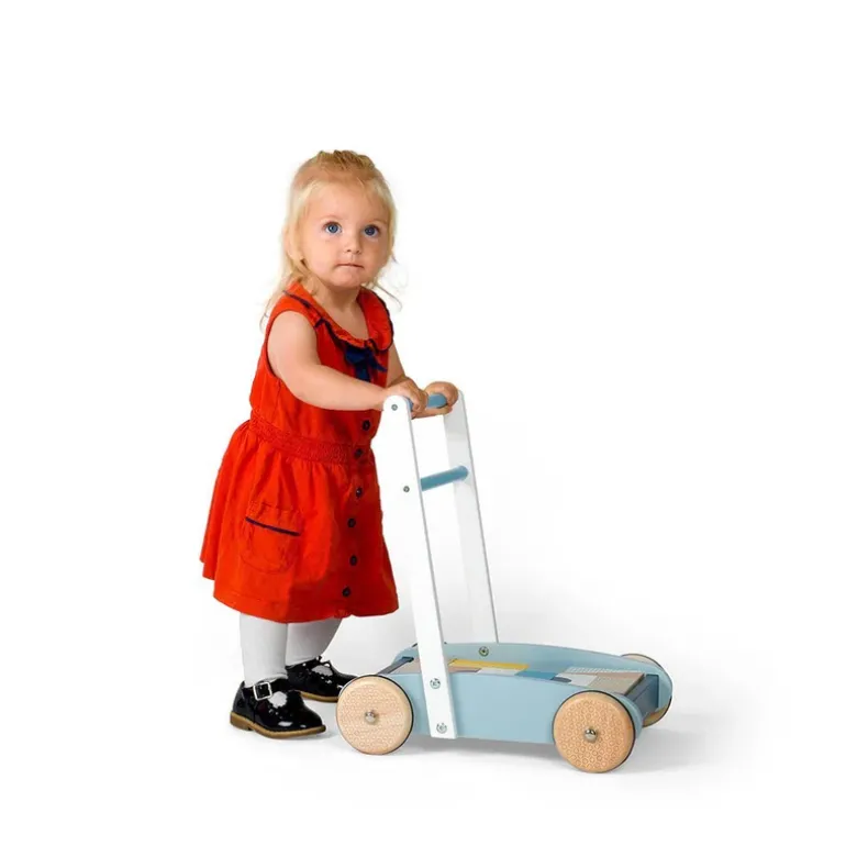 Fsc Baby Walker
