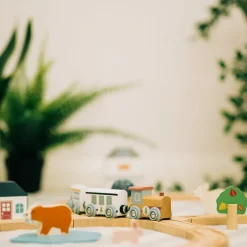 Fsc Train Set (Woodland Animal)