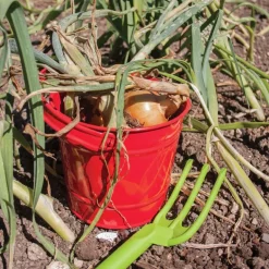 Gardening Starter Pack - Red