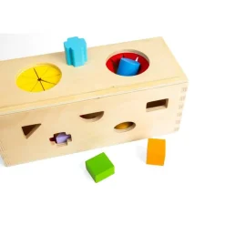 Mystery Box - Wooden Sorting Toy