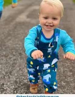 Organic Arctic Print Dungarees
