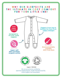 Organic Camping Bear Applique Sleepsuit