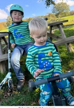 Organic Green Tonal Dinosaur Applique Long-Sleeved T-Shirt