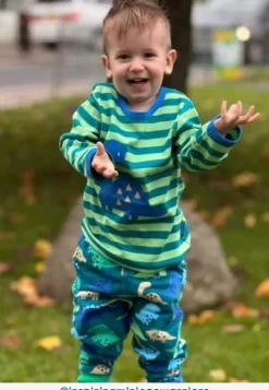 Organic Green Tonal Dinosaur Applique Long-Sleeved T-Shirt