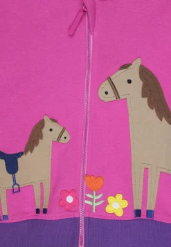 Organic Hillside Pony Applique Hoodie