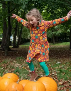 Organic Pumpkin Print Long-Sleeved Skater Dress