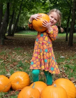 Organic Pumpkin Print Long-Sleeved Skater Dress