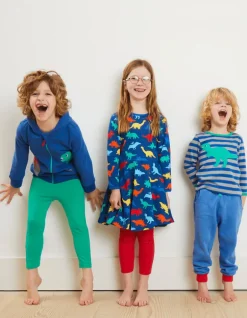 Organic Rainbow Dinosaur Print Skater Dress