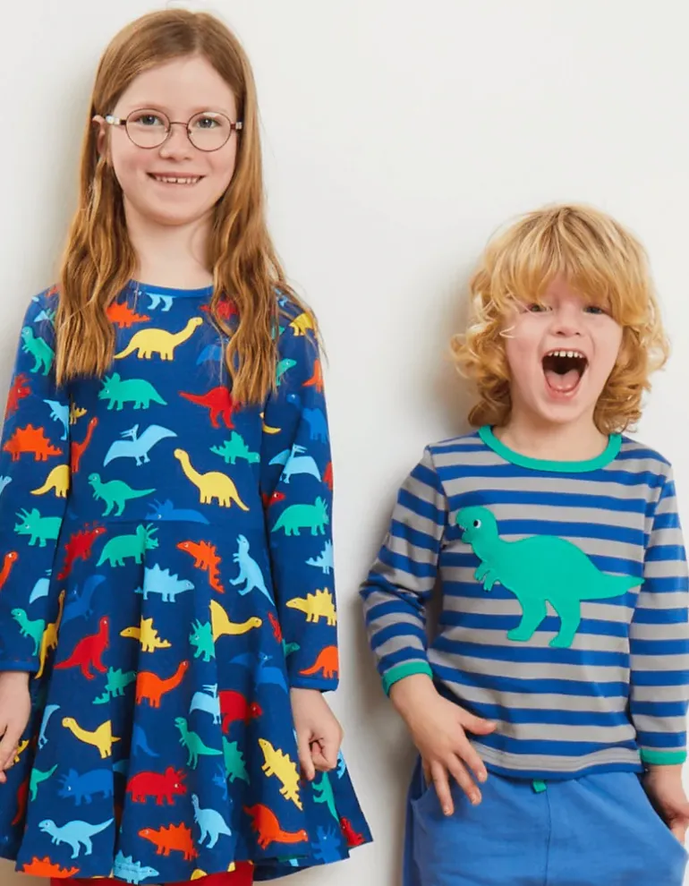 Organic Rainbow Dinosaur Print Skater Dress