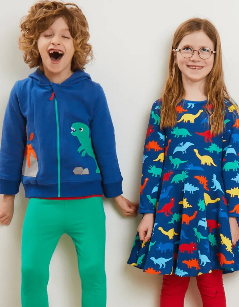 Organic Rainbow Dinosaur Print Skater Dress