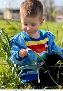 Organic Rainbow Sheep Pocket Applique Short-Sleeved T-Shirt