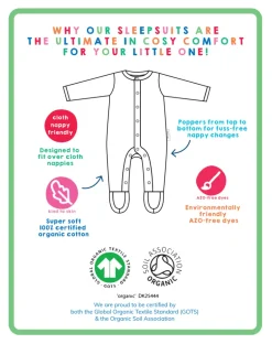Organic Robin Applique Sleepsuit