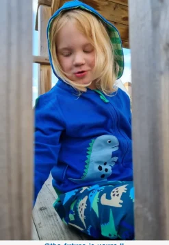 Organic Tonal Dinosaur Applique Hoodie