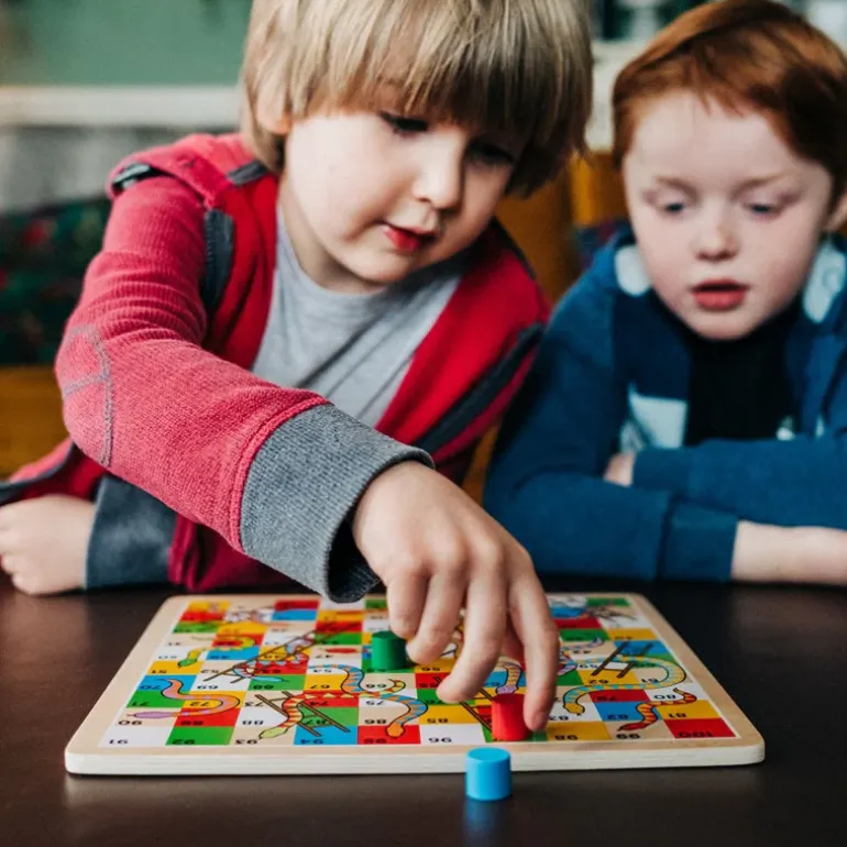 Traditional Snakes and Ladders